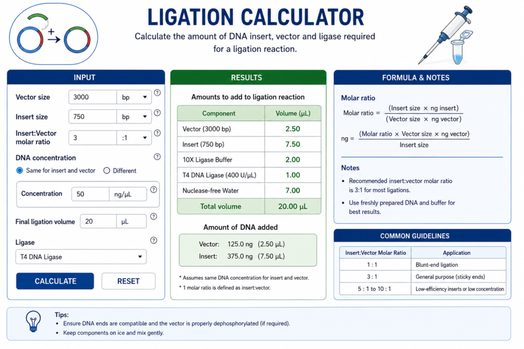 Ligation Calculator