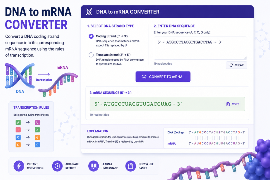 dna to mRNA converter