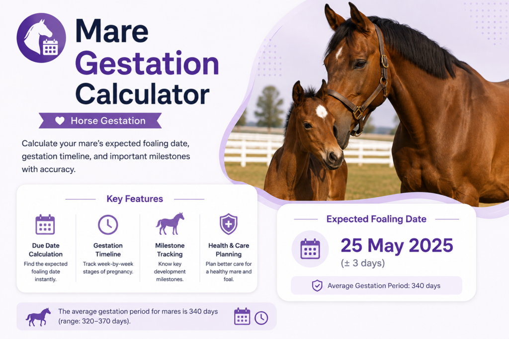 Horse Gestation Calculator