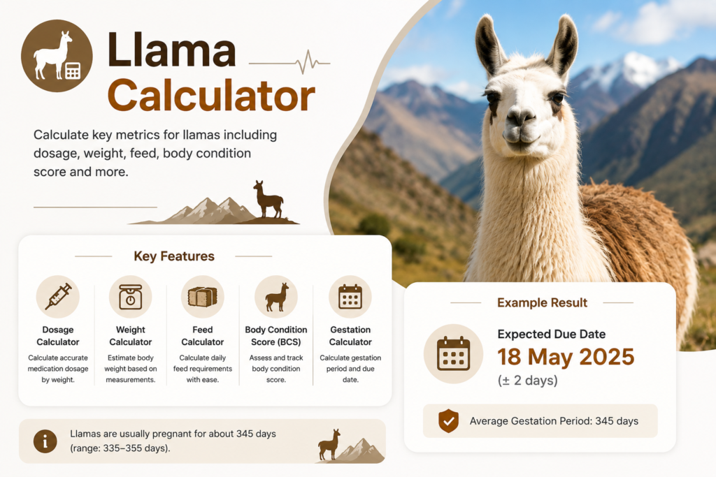 # Llama Gestation Calculator: The Complete Guide to Llama Pregnancy and Cria Birth ## Introduction to Llama Gestation Raising llamas is a deeply rewarding experience, whether someone keeps them as fiber animals, pack animals, livestock guardians, or beloved companions on a small hobby farm. Among the many responsibilities that come with llama ownership, managing reproduction stands out as one of the most important and most closely watched aspects of herd management. A llama gestation calculator gives llama owners and breeders a reliable, practical tool for predicting birth dates, planning care schedules, and preparing everything needed to welcome a healthy cria — the term for a newborn llama — into the world. A llama calculator built specifically around gestation takes the mating or breeding date and calculates the expected birth date based on the standard llama gestation period. The result is a clear, organized timeline that helps owners prepare nutritional programs, arrange veterinary visits at optimal times, set up birthing areas, and monitor the pregnant female, called a dam, as her due date approaches. This comprehensive guide covers everything llama owners, hobby farmers, and camelid enthusiasts need to know about llama gestation, how a llama gestation calculator works, and how to use that knowledge to produce healthy crias and maintain a thriving llama herd. ## Understanding Llama Gestation: The Essentials Building a solid foundation in llama reproductive biology is essential before exploring how a llama calculator functions. Llamas belong to the camelid family — a group that also includes alpacas, guanacos, vicuñas, Bactrian camels, and dromedary camels — and their reproduction involves several fascinating biological features that set them apart from other domestic livestock species. ### How Long Is a Llama's Gestation Period? The llama gestation period averages approximately 350 days, which translates to roughly eleven and a half months. However, the normal range for llama gestation spans from approximately 335 to 365 days, and healthy crias can be born throughout this window. A llama gestation calculator uses the 350-day average as its primary reference point while acknowledging this natural individual variation. This extended gestation period makes llamas one of the longest-gestating domestic livestock species, surpassing even cattle and approaching the duration of equine gestation. The lengthy pregnancy reflects the camelid family's evolutionary origins in challenging high-altitude environments, where producing a single, highly developed, and immediately mobile offspring represented the most successful reproductive strategy. ### The Single Cria Rule Unlike many other livestock species that regularly produce twins or larger litters, llamas almost always give birth to a single cria. Twin llama pregnancies are extremely rare — estimated to occur naturally in fewer than one percent of pregnancies — and when they do occur, the outcome for one or both crias is often poor. Most twin llama pregnancies result in pregnancy loss or delivery of undersized, nonviable crias. For this reason, a llama gestation calculator is always designed around single-cria pregnancy, reflecting the biological norm for the species. ### Llama Reproductive Anatomy and Unique Features Llamas share several remarkable reproductive characteristics with other camelids that distinguish them clearly from most other livestock species: **Induced Ovulation:** Unlike cattle, sheep, goats, and horses — which ovulate spontaneously on a predictable cycle — llamas are induced ovulators. This means ovulation occurs in response to the physical stimulation of mating rather than at a fixed point in a hormonal cycle. This unique characteristic has profound implications for breeding management and for how breeding dates are recorded for use in a llama gestation calculator. **No True Estrous Cycle:** Because llamas are induced ovulators, they don't follow the regular cyclic estrus patterns seen in most other domestic animals. Instead, a female llama (dam) is essentially in a state of continuous follicular activity during the breeding season, cycling through follicular waves that produce mature follicles capable of ovulation whenever mating occurs. **Long Breeding Season:** Llamas can breed and conceive year-round in most climates, though breeding activity may decrease somewhat during the shortest days of winter in regions with strongly seasonal photoperiod changes. ## How a Llama Gestation Calculator Works A llama gestation calculator converts the breeding date into a predicted birth date through a straightforward process that any llama owner can use regardless of their technical background. Understanding how this tool works helps users enter accurate information and interpret results with confidence. ### What Information Does a Llama Calculator Need? The primary input for any llama gestation calculator is the mating date — the specific day on which the dam was observed mating with the male llama, called a stud or herdsire. Because llamas are induced ovulators, ovulation occurs within 24 to 36 hours of mating, making the mating date a reliable proxy for the conception date. When a dam was mated on multiple consecutive days — as sometimes happens when breeders allow extended exposure to a stud — using the last mating date provides the most conservative (latest) birth date estimate, which is generally the safest approach for planning purposes. Some llama gestation calculators also accept: - **Ultrasound confirmation date with gestational age estimate:** When a veterinarian confirms pregnancy by ultrasound and estimates gestational age, this can substitute for an uncertain mating date - **Breed or type selection:** While llama gestation lengths don't vary dramatically between types, some calculators allow selection between standard llamas and other camelid species ### What Does the Calculator Produce? Once the mating date is entered, a llama gestation calculator generates a comprehensive output that typically includes: - **Predicted birth date:** Calculated by adding the 350-day average gestation to the mating date - **Birth window:** A range of dates reflecting natural variation, typically spanning from day 335 to day 365 from mating - **Monthly pregnancy milestones:** Key management dates including optimal times for pregnancy confirmation, nutritional adjustments, vaccination boosters, and birth preparation - **Days remaining:** A live countdown to the expected birth date that helps owners plan their schedules ### Accuracy of Llama Gestation Calculator Predictions A llama gestation calculator provides reliable planning estimates rather than guaranteed dates. Llamas show more individual variation in gestation length than some other livestock species, making the birth window concept particularly important. Some individual dams consistently carry their crias toward the shorter end of the normal range, while others regularly carry toward the longer end. Tracking each dam's personal gestation history over multiple pregnancies provides increasingly personalized predictions that complement the standard calculator output. ## Llama Reproduction: Mating and Conception Understanding how llama reproduction works gives owners the practical knowledge needed to breed dams effectively and record accurate mating dates for the llama gestation calculator. ### Assessing Female Reproductive Readiness Because llamas don't display obvious, predictable behavioral estrus the way cattle or pigs do, assessing a dam's receptivity to mating requires a different approach. The primary method is male introduction testing, sometimes called "orgling testing" after the distinctive gurgling sound (orgling) that male llamas make during mating. When a stud is introduced to a dam with a mature follicle ready for ovulation induction, she typically responds by assuming a cushing position — lying down with her legs folded beneath her body — and accepting mounting. A dam without a mature follicle, or one that has recently ovulated and may already be pregnant, typically resists mounting by running away, spitting, or actively avoiding the male. This behavioral test provides a practical and reliable indicator of breeding readiness without requiring hormonal testing or ultrasound examination at every assessment. ### The Mating Process Llama mating is quite different from the brief encounters typical of most other domestic livestock. In a normal mating, the stud approaches and encourages the dam to cush. Once she is in the cushing position, the stud mounts and intromission occurs. The mating process typically lasts 15 to 45 minutes, during which both animals remain on the ground. This prolonged mating duration is characteristic of all camelids and appears to be important for triggering ovulation. Multiple matings on the same day or on consecutive days are common and increase the likelihood of successful ovulation induction. Recording the last mating date in the llama gestation calculator provides the most useful basis for birth date prediction. ### Confirming Ovulation and Pregnancy Ovulation can be confirmed by observing a behavioral change in the dam: approximately 24 to 36 hours after successful mating and ovulation, a recently ovulated dam will typically resist the stud's advances by refusing to cush, spitting, and moving away. This "spit-off" behavior suggests ovulation has occurred, though it doesn't confirm fertilization. Pregnancy can be confirmed definitively through: **Transrectal or transabdominal ultrasound:** A veterinarian can visualize the embryonic vesicle as early as 15 to 20 days after mating. Ultrasound at 21 to 28 days provides reliable pregnancy confirmation and allows assessment of embryo viability. **Behavioral testing (spit-off test):** Repeatedly testing the dam against a stud at two-week intervals after mating provides informal pregnancy monitoring. A dam that consistently rejects the stud for several consecutive tests is likely pregnant, though behavioral testing alone is not definitive. **Blood progesterone testing:** Elevated progesterone levels in a blood sample collected 21 or more days after mating suggest pregnancy, though progesterone can remain elevated in non-pregnant animals following recent ovulation without conception. ## The Llama Pregnancy Timeline: Month by Month A llama gestation calculator becomes most valuable when owners understand what is happening biologically at each stage of the approximately eleven and a half month pregnancy. This knowledge guides management decisions across the entire gestation period. ### First Trimester: Months One Through Four (Days 1–120) **Early Embryonic Development (Days 1–30)** Following fertilization in the oviduct, the llama embryo undergoes rapid cell division while traveling toward the uterus. Unlike horses, where the early embryo migrates extensively throughout the uterus before fixation, the llama embryo fixes relatively early and establishes placental attachment within the first few weeks. The period from fertilization through approximately day 45 carries the highest risk of embryonic loss. Stress, nutritional deficiency, disease, extreme temperature fluctuations, and handling of the dam can all contribute to early pregnancy failure during this vulnerable window. Keeping newly confirmed pregnant dams calm, well-nourished, and protected from stressors represents the most important management priority during early gestation. **Organ System Development (Days 30–90)** During this period, all major organ systems develop in the embryo, which transitions to the fetal stage at approximately 45 days. The cria fetus is remarkably small during this phase — weighing only a few grams — but is growing and differentiating rapidly. A veterinary ultrasound examination between days 45 and 90 provides excellent visualization of the developing fetus, allows assessment of fetal viability through heartbeat detection, and can sometimes identify fetal sex, though sex determination is more challenging in camelids than in some other species. **Placentation and Growth (Days 90–120)** By the end of the first trimester, the placenta is well established and the fetus is growing steadily. The dam's abdomen may begin showing early, subtle signs of expansion in thin-coated animals, though it is rarely obvious to casual observers this early in gestation. ### Second Trimester: Months Four Through Eight (Days 121–240) The second trimester represents the most stable period of llama pregnancy. The fetus grows steadily but not as rapidly as in the final trimester, and the dam's nutritional requirements, while increased above her non-pregnant baseline, are not yet at the dramatically elevated levels that characterize late gestation. During this period, the developing cria's skeletal system begins mineralizing, fiber follicles develop in the skin, and organ systems continue maturing. The dam's abdomen expands progressively, becoming visibly enlarged by mid-second trimester in most animals. Regular visual observation throughout the second trimester helps identify any problems early. A healthy pregnant dam maintains good body condition, has a good appetite, and behaves normally. Weight loss, reduced appetite, unusual behavior, or any vaginal discharge warrant prompt veterinary evaluation. ### Third Trimester: Months Eight Through Eleven (Days 241–350) The third trimester brings the most dramatic changes of the entire pregnancy. Approximately 60 to 70 percent of the cria's birth weight is gained during the final three months of gestation. A cria born at an average birth weight of 8 to 14 kilograms accumulates most of that mass during the final 90 to 110 days of pregnancy. This accelerating growth substantially increases the dam's nutritional requirements during the final trimester, particularly for energy, protein, calcium, and phosphorus. The dam's abdomen becomes dramatically enlarged, and fetal movement may be observable as rippling movements along the flank in the final weeks. As the birth date predicted by the llama gestation calculator approaches, the dam typically shows progressive changes in udder development, body posture, and behavior that signal imminent parturition. ## Nutritional Management Throughout Llama Gestation Proper nutrition across all stages of pregnancy is fundamental to producing healthy, vigorous crias and maintaining dam health through birth and into the lactation period that follows. ### Nutritional Needs During Early to Mid-Gestation During the first two-thirds of pregnancy, a healthy dam in good body condition can usually meet her nutritional needs through high-quality forage — good grass hay, mixed hay, or adequate pasture — without significant grain supplementation. The key priority during this period is maintaining appropriate body condition rather than maximizing feed intake. Llamas are efficient converters of forage and are susceptible to obesity if overfed, particularly during the early stages of pregnancy when nutritional demands are relatively modest. Obese dams face higher risks of dystocia (difficult birth), pregnancy toxemia (a metabolic emergency related to energy deficiency despite adequate fat reserves), and other complications. Maintaining a body condition score of 4 to 5 on a standard 5-point scale throughout early and mid-gestation supports optimal pregnancy outcomes. ### Mineral and Vitamin Supplementation Regardless of forage quality, llamas generally benefit from mineral supplementation throughout pregnancy. Key nutrients include: **Selenium:** Selenium deficiency is widespread in many geographic regions and causes white muscle disease in crias — a potentially fatal condition affecting cardiac and skeletal muscle. Dams in selenium-deficient areas should receive selenium supplementation throughout gestation, and crias born in deficient regions often receive selenium injections at birth or shortly after. **Copper:** Llamas have higher copper requirements than sheep and are more sensitive to copper deficiency. Adequate copper supports fiber quality, immune function, and fetal development. However, llamas are also susceptible to copper toxicity if over-supplemented, so copper supplementation should be based on forage analysis and veterinary guidance rather than assumptions. **Vitamin D:** Particularly important in regions with limited sunlight exposure during winter months, vitamin D supports calcium metabolism and skeletal development in the developing cria. **Zinc and Manganese:** These trace minerals support immune function, reproductive efficiency, and skeletal development in the growing fetus. ### Late Gestation Nutrition: The Final 60 to 90 Days The nutritional demands of late llama gestation are significantly higher than earlier in pregnancy due to rapid fetal growth. During the final two to three months before the predicted birth date — a window that a llama gestation calculator clearly identifies — the dam's energy, protein, and mineral requirements increase substantially. Practical feeding adjustments for late gestation dams typically include: - Increasing the quality and quantity of forage offered - Adding a small amount of concentrate feed (grain or pellets formulated for camelids or pregnant animals) to meet increased energy demands - Ensuring free-choice access to a balanced mineral supplement appropriate for camelids - Providing fresh, clean water at all times, especially important in cold weather when water intake can decrease The llama gestation calculator helps owners identify exactly when the third trimester begins so they can make these nutritional adjustments at the right time rather than reacting too late. ## Recognizing Signs of Approaching Birth As the birth date predicted by the llama gestation calculator draws near, learning to recognize the physical and behavioral signs of approaching parturition helps owners intensify monitoring at the right time. ### Signs Appearing One to Two Weeks Before Birth **Udder Development** The dam's mammary glands begin filling with colostrum and enlarging during the weeks before birth. The degree of visible udder development varies considerably between individual dams — maiden dams (those giving birth for the first time) sometimes show very little visible udder development until close to birth, while experienced dams may develop obvious udders a week or more in advance. **Relaxation of Pelvic Ligaments** The ligaments on either side of the tailhead soften and relax as parturition approaches. In thin or fine-coated dams, this change produces a visible hollowing or sinking of the area around the tailhead that experienced llama owners recognize as a reliable pre-birth indicator. **Behavioral Changes** Many dams become somewhat more withdrawn, separating themselves slightly from herd-mates as birth approaches. Some show mild restlessness, repeatedly lying down and rising, while others remain outwardly calm until very close to delivery. **Vulvar Relaxation and Swelling** The vulva elongates, softens, and becomes noticeably more relaxed in the days before birth, reflecting hormonal preparation of the birth canal for delivery. ### Signs Appearing Within 24 to 48 Hours of Birth **Increased Restlessness** Most dams become progressively more restless in the hours before active labor, repeatedly changing position and showing signs of mild abdominal discomfort. **Isolation Seeking** Dams close to delivery often attempt to separate themselves from the herd, seeking a quiet, private location that instinctively satisfies the drive to birth away from potential threats. **Tail Raising** Frequent tail raising is a common sign of early labor contractions in llamas, often appearing in the hours before delivery. **Udder Engorgement** In dams that have shown gradual udder development, the udder typically becomes noticeably fuller and firmer in the 24 hours before birth as it fills with colostrum under hormonal influence. ## The Birth Process in Llamas Understanding normal llama labor and delivery helps owners distinguish the progression of normal birth from situations that require veterinary intervention. ### Timing of Birth: The Daylight Preference One of the most fascinating characteristics of llama parturition — and one that distinguishes llamas significantly from cattle, horses, and most other domestic livestock — is their strong preference for giving birth during daylight hours. Research and extensive field observation have consistently shown that the large majority of llama births occur between approximately 7:00 AM and 2:00 PM. This remarkable behavior is believed to reflect an evolutionary adaptation to the high-altitude environments of the Andes, where llamas evolved. In high mountain regions, nights are extremely cold, and a cria born after dark would face a much higher risk of hypothermia before its mother could fully dry and warm it. By instinctively timing births to occur during the warmest part of the day, llamas ensured their offspring had the best possible survival odds. This daylight birth preference is genuinely good news for llama owners — it means intensive overnight monitoring is rarely necessary for llamas approaching their due dates, unlike the nighttime vigilance required for horses and other livestock that birth at any hour. ### Stage One: Early Labor Early labor involves progressive uterine contractions and cervical dilation. The dam typically shows increasing restlessness, repeatedly rising and cushing, and may vocalize softly. This stage can last from one to several hours in normal deliveries. ### Stage Two: Active Delivery Active labor in llamas is usually relatively rapid compared to many other livestock species. Once a dam enters active pushing, a cria in normal presentation should typically be delivered within 30 minutes. A normal cria is presented in the diving position — front feet first, followed by the head resting on the front legs, then the shoulders and hindquarters. Any active pushing lasting longer than 30 minutes without significant progress warrants veterinary consultation. Delayed delivery in llamas can lead to rapid deterioration of both dam and cria, making timely intervention critical. ### Stage Three: Placental Passage Following cria delivery, the placenta is typically expelled within two to four hours. Retained placenta beyond six hours warrants veterinary attention, as retained membranes can lead to uterine infection (metritis) with potentially serious health consequences for the dam. ## Cria Care in the Critical First Hours The hours immediately following birth are the most important period for establishing cria health and long-term survival prospects. ### Normal Cria Behavior at Birth A healthy cria should be attempting to raise its head within minutes of birth and making vigorous efforts to rise within 30 minutes. Most healthy crias achieve standing within one hour of birth and are actively searching for the udder within 90 minutes. The dam should begin immediately licking and humming to her cria — both bonding behaviors that are important for maternal-infant attachment and for stimulating the cria's circulation and early activity. ### Colostrum: The Critical First Feed Like all neonatal mammals, llama crias depend entirely on colostrum — the antibody-rich first milk produced by the dam — for their initial immune protection. Crias are born with essentially no circulating antibodies and acquire passive immunity exclusively through colostrum absorption during the first 24 hours of life. A healthy cria should nurse for the first time within two to three hours of birth and should consume colostrum multiple times during the first 12 hours. Crias that fail to nurse effectively within four to six hours require intervention — either assistance with nursing or administration of colostrum via a stomach tube — to prevent failure of passive transfer, which leaves the cria dangerously vulnerable to infection. ### Navel Care and Health Monitoring Dipping the navel cord in 7 percent iodine solution immediately after birth reduces the risk of navel ill — bacterial infection entering through the umbilical stump. This simple step prevents a common and potentially serious neonatal infection. Monitoring the cria's temperature, nursing behavior, and alertness during the first 24 hours identifies problems early when intervention is most effective. A healthy cria is alert, nursing frequently, and gaining body warmth progressively. A cold, weak, or uninterested cria requires immediate attention. ## Using the Llama Calculator Alongside Other Animal Gestation Tools Llama owners managing diverse livestock operations find that a llama gestation calculator works most effectively as part of a comprehensive reproductive management approach that covers all species on the farm. Operations keeping both llamas and goats benefit from comparing management approaches across these related camelid and caprine species. The [Goat Gestation Calculator](https://omnicalculator.store/biology/) helps goat owners predict kidding dates using the same systematic approach, though the much shorter caprine gestation period of approximately 150 days creates a very different management timeline than the 350-day llama gestation. For farms maintaining sheep alongside llamas, the [Sheep Gestation Calculator](https://omnicalculator.store/biology/) provides breed-specific lambing date predictions that can be coordinated with llama birth predictions to ensure adequate staffing and facilities are in place for both species during their respective birthing seasons. Hobby farms and ranches that keep cattle in addition to llamas find the [Cow Gestation Calculator](https://omnicalculator.store/biology/) equally valuable for planning calving seasons around the farm's llama birthing schedule, preventing the situation where multiple species are birthing simultaneously without adequate preparation. Multi-species operations wanting to understand how llama gestation compares to equine pregnancy — both among the longest domestic animal gestations — can explore the [Mare Gestation Calculator](https://omnicalculator.store/biology/) to see how horse foaling date prediction and management parallels llama birth planning, with both species sharing the characteristic of producing single, highly developed offspring after extended pregnancies. Producers tracking feed efficiency and nutritional costs across their llama herd during gestation can use the [Feed Conversion Ratio Calculator](https://omnicalculator.store/biology/) to evaluate how effectively different feeding programs are meeting the changing nutritional demands of pregnant and lactating dams at different stages of the reproductive cycle. ## Common Llama Pregnancy Complications and How to Recognize Them While most llama pregnancies proceed normally, awareness of potential complications helps owners recognize problems early and seek appropriate veterinary care before situations become life-threatening. ### Early Pregnancy Loss Embryonic and early fetal loss in llamas occurs most commonly during the first 60 days of gestation. Signs include return to mating receptivity (accepting the stud again after previous rejection), a sudden change in behavior, or vaginal discharge. When early pregnancy loss is suspected, veterinary examination confirms whether the pregnancy has been lost and whether the dam is ready to be rebred. ### Pregnancy Toxemia (Ketosis) Pregnancy toxemia is a metabolic emergency that can affect dams in the final weeks of pregnancy, particularly those carrying large crias, those in poor nutritional condition, or those experiencing sudden feed restriction due to illness or environmental stress. The condition results from inadequate energy intake relative to the enormous demands of late fetal growth, causing the body to mobilize fat reserves in ways that produce toxic ketone bodies. Signs include progressive depression and weakness, reduced or absent appetite, grinding of teeth, incoordination, and eventual recumbency. Pregnancy toxemia is a veterinary emergency that requires immediate treatment. Prevention through adequate late gestation nutrition — which a llama gestation calculator helps owners plan by clearly identifying when the critical final trimester begins — is far preferable to treatment. ### Abortion and Late Pregnancy Loss Infectious causes of abortion in llamas include several bacterial and protozoal pathogens. Nutritional deficiencies, particularly selenium and vitamin E deficiency, can also contribute to late pregnancy loss. Any abortion in a llama herd warrants veterinary investigation, both to identify and address the cause and to protect other pregnant animals in the herd from potential infectious causes. ### Dystocia Difficult birth (dystocia) in llamas most often results from malpresentation of the cria — the cria being positioned incorrectly for normal delivery — rather than from size mismatch between dam and offspring. The most common malpresentations include one or both front legs retained alongside the body, head deviation to the side or downward, and breech presentation with hindquarters presented first. Because active pushing lasting more than 30 minutes without progress is abnormal for llamas, early veterinary intervention when delivery is not progressing normally is essential. Delays in addressing dystocia significantly reduce survival rates for both cria and dam. ## Special Considerations for Llama Breeders Professional and hobby llama breeders have additional management considerations when using a llama gestation calculator and planning their breeding programs. ### Breeding Program Planning Because llamas produce only one cria per pregnancy and have a gestation period approaching one year, the timeline for building a llama breeding program is considerably longer than for species with shorter gestations or larger litters. A llama gestation calculator helps breeders plan their breeding schedules to achieve targeted birth timing, taking into account the nearly one-year wait between breeding and the arrival of offspring. ### Fiber Production Considerations Many llama breeders manage their herds primarily for fiber production, and reproductive timing affects fiber quality and harvest scheduling. Pregnancy and lactation influence coat growth patterns, and shearing timing relative to the birth date requires planning. A llama gestation calculator helps breeders coordinate shearing schedules with reproductive timelines for optimal fiber management. ### Record Keeping Across Multiple Dams Operations managing multiple llamas simultaneously benefit enormously from maintaining organized breeding and gestation records for each dam. A llama gestation calculator provides the predicted birth dates that anchor these records, allowing breeders to monitor multiple pregnancies at different stages simultaneously without losing track of which dam is due when. ### Post-Birth Rebreeding Timing After giving birth and establishing nursing, most dams can be rebred within a few weeks, though waiting until the cria is at least two to four weeks old and nursing is well established before attempting rebreeding reduces stress on the dam. Planning rebreeding dates — and entering them into the llama gestation calculator for the next pregnancy — keeps the herd on a productive reproductive schedule. ## Frequently Asked Questions About the Llama Gestation Calculator ### How Accurate Is the Predicted Birth Date? A llama gestation calculator provides a reliable planning window rather than a guaranteed birth date. The standard birth window of approximately day 335 to day 365 from mating captures the great majority of normal llama births. Planning for the entire window — particularly intensifying monitoring from day 330 onward — provides the most sensible approach to birth preparation. ### Can Alpacas Use the Same Gestation Calculator? Alpacas are closely related to llamas and share many reproductive characteristics, including induced ovulation and single-offspring births. However, the average alpaca gestation period is slightly shorter than that of llamas, averaging approximately 335 to 345 days rather than the 350-day llama average. An alpaca-specific gestation calculator — or adjusting a llama calculator's gestation length — produces more accurate birth date predictions for alpacas. ### What If the Exact Mating Date Is Unknown? When the exact mating date is uncertain — perhaps because a stud was running with dams in a group setting — a veterinary ultrasound examination can estimate gestational age by measuring fetal dimensions. This estimated age, combined with the llama gestation calculator, produces a useful predicted birth window even without a precise mating date on record. ### How Soon Can a Dam Be Rebred After Giving Birth? Dams can ovulate as early as one to two weeks after giving birth, making early rebreeding biologically possible. However, most experienced breeders recommend waiting at least three to four weeks after birth before rebreeding to allow adequate uterine involution and to ensure the cria is nursing well and gaining weight appropriately before the dam's reproductive focus shifts. ## Conclusion: Confident Llama Breeding With Better Tools A llama gestation calculator is far more than a simple birth date predictor — it's a complete reproductive management companion that transforms the eleven and a half month journey from mating to cria birth into an organized, well-planned, and genuinely enjoyable process. By converting the mating date into a reliable birth prediction and monthly milestone timeline, this practical tool gives llama owners and breeders the preparation time they need to provide exceptional care at every stage of gestation. Understanding llama reproduction — from the fascinating induced ovulation mechanism and extended gestation period to the remarkable daylight birth preference and the critical importance of colostrum — makes every aspect of using a llama gestation calculator more meaningful. These biological details aren't just interesting facts; they're the foundation for practical decisions that directly influence cria health and dam wellbeing. Whether managing a single beloved dam on a small hobby farm or overseeing a thriving breeding operation with multiple llamas in various stages of pregnancy, using a llama gestation calculator consistently and accurately delivers genuine management advantages. More crias born healthy and vigorous, better nutritional management timed to actual gestational needs, earlier recognition of potential complications, and an overall sense of confidence and preparedness — these are the rewards that come from making a llama gestation calculator a central part of every responsible llama owner's reproductive management toolkit.
