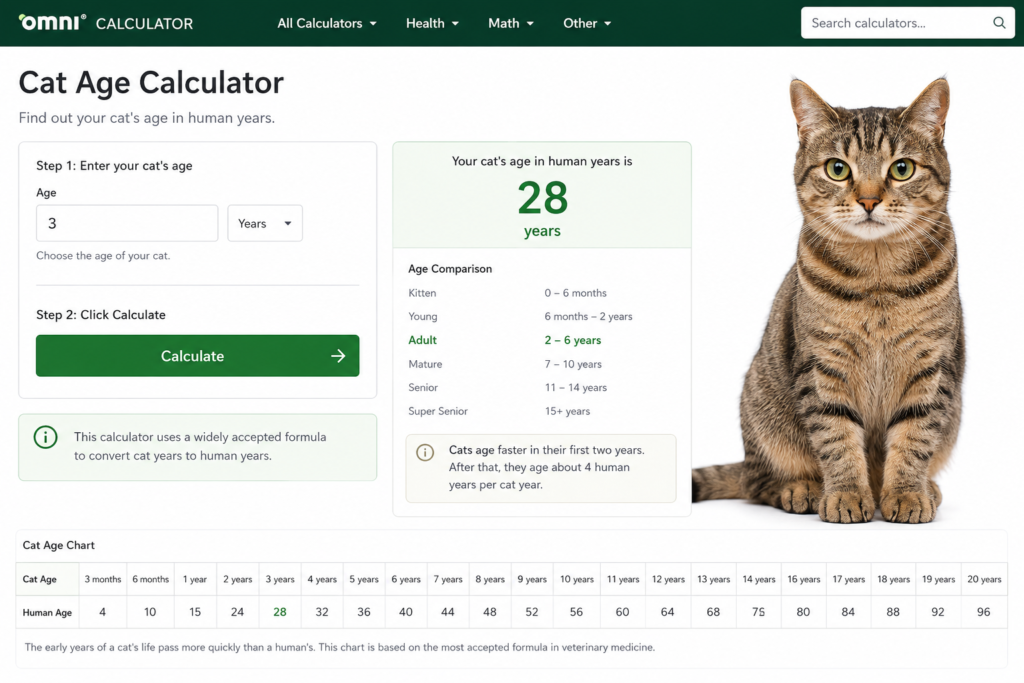 Cat Personality Calculator