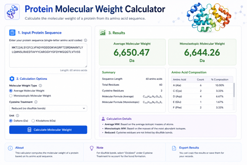 Protein Molecular Weight Calculator